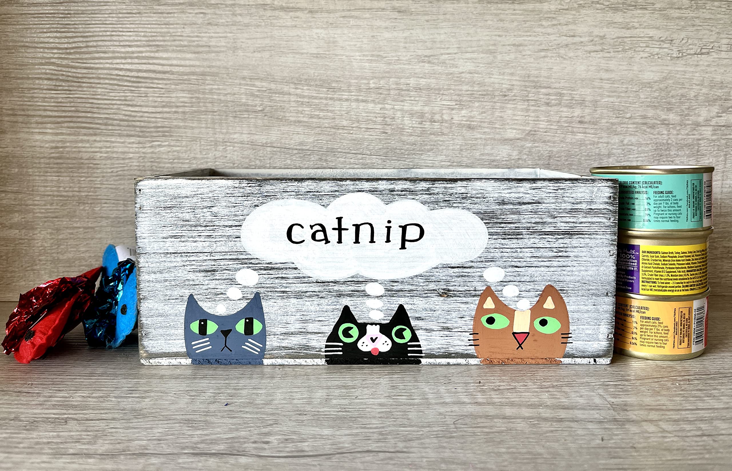 Hand painted kitty illustrations on Lea Joelle box