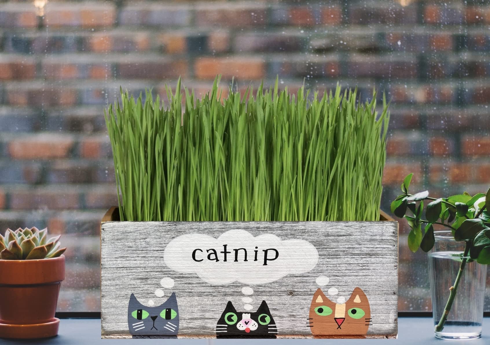 Lea Joelle catnip planter box for cats