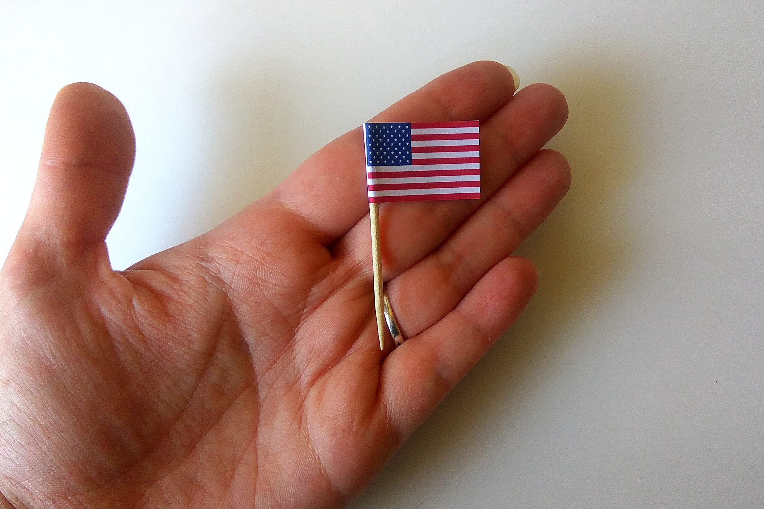 USA Europe Canada Ukraine patriotic flag for mini scenes