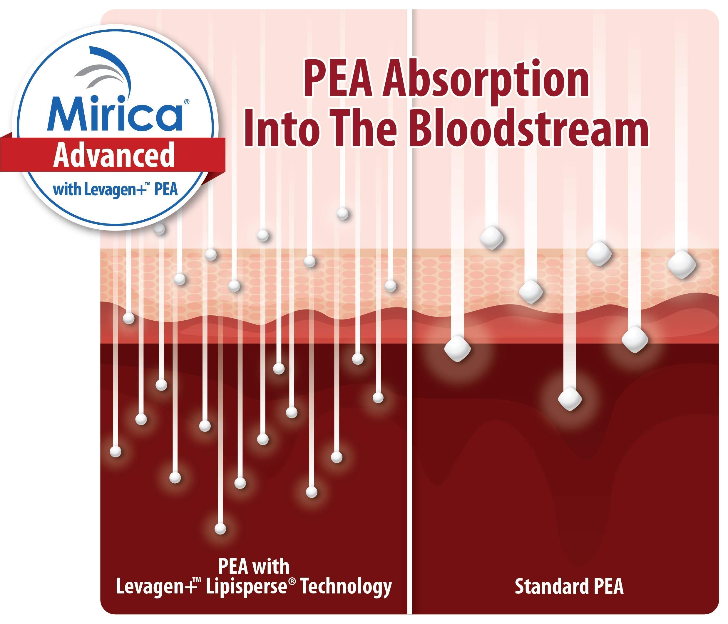 Levagen PEA Lipisperse formula capsule