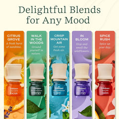 Citrus Grove Lifelines essential oil blend bottle