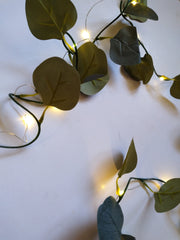 Lighted eucalyptus garland close up of leaves