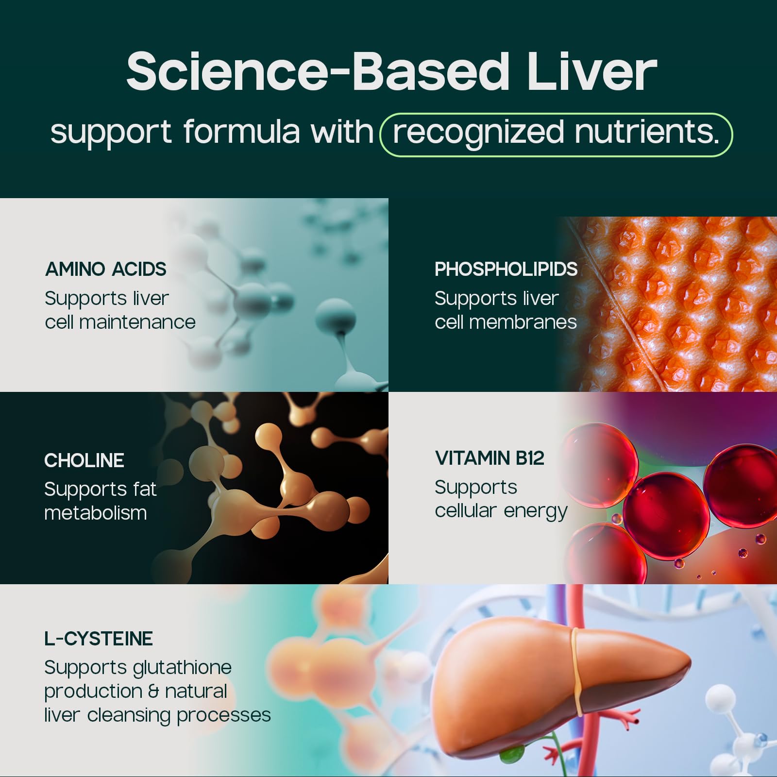 LIVERITE Liver Aid product packaging with branding