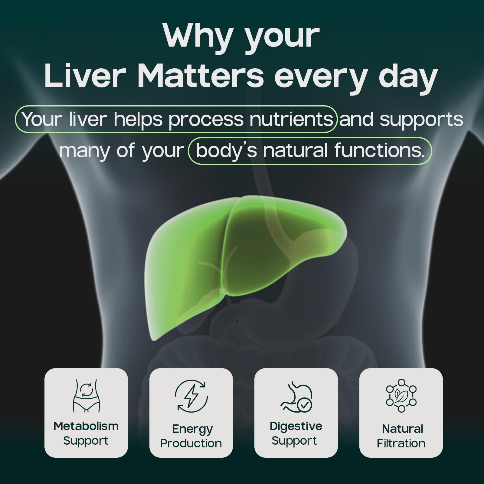 LIVERITE Liver Aid daily use packaging text