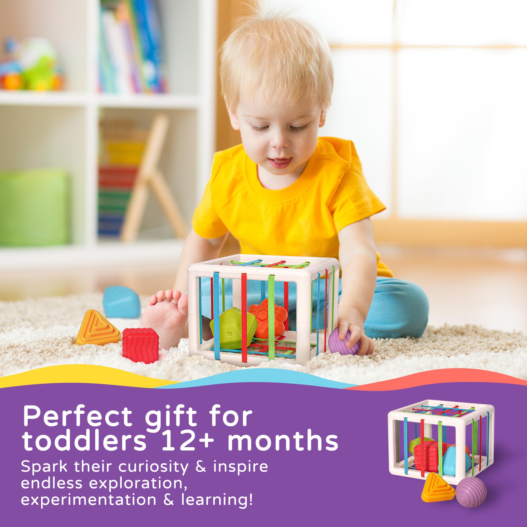 Inside the LiKee shape sorter showing toy pieces