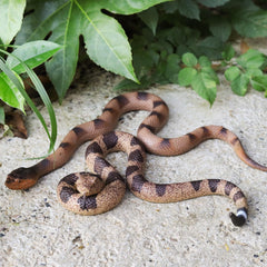 Snake toy on branch suitable for prank and party decor