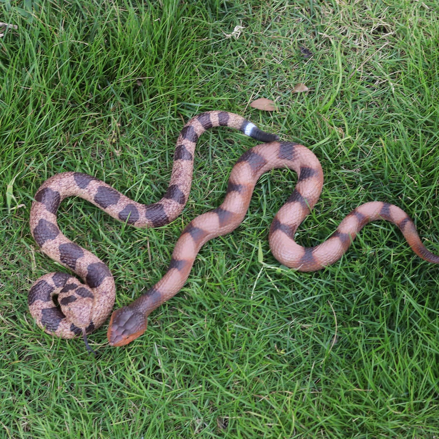 Lohoee garden snake toy set ideal for classroom rewards