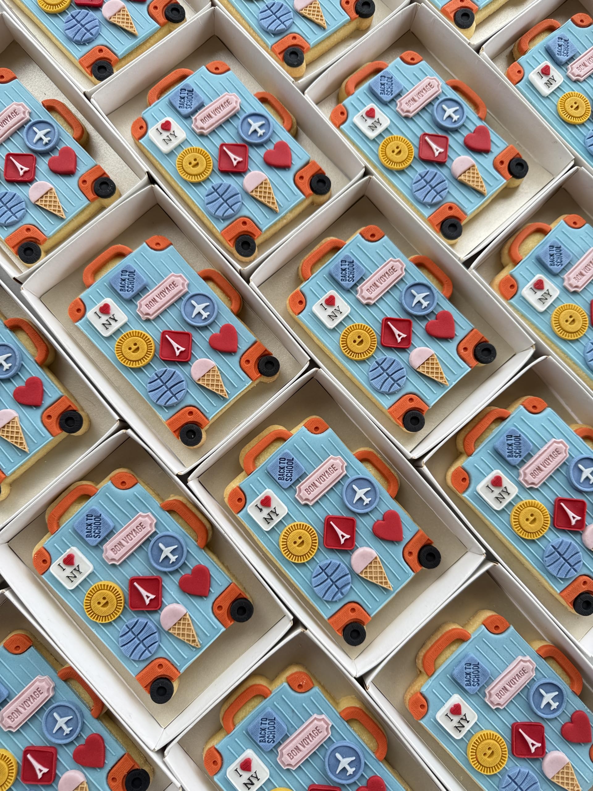 Original design Bon Voyage cookie decorating kit by Lorena's Sweets