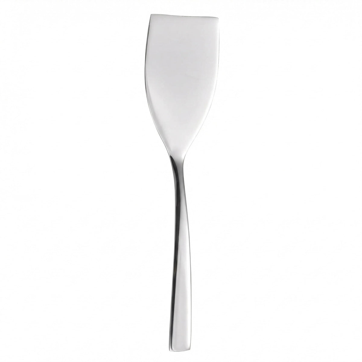 Lupnkl 9.84-Inch Mini Stainless Steel Spatula compact size for small tasks