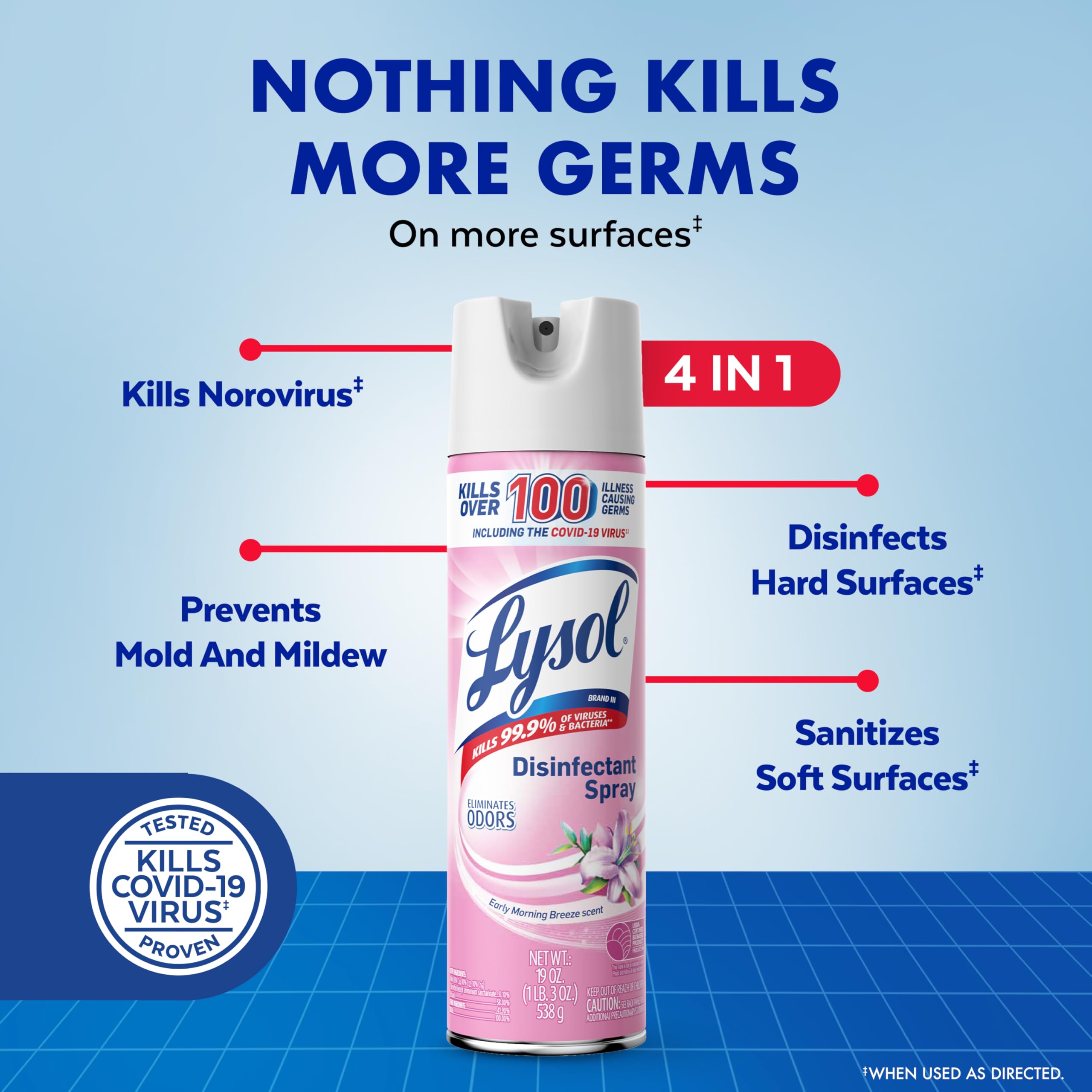 Lysol Disinfectant Spray Early Morning Breeze 19 Fl Oz label close-up