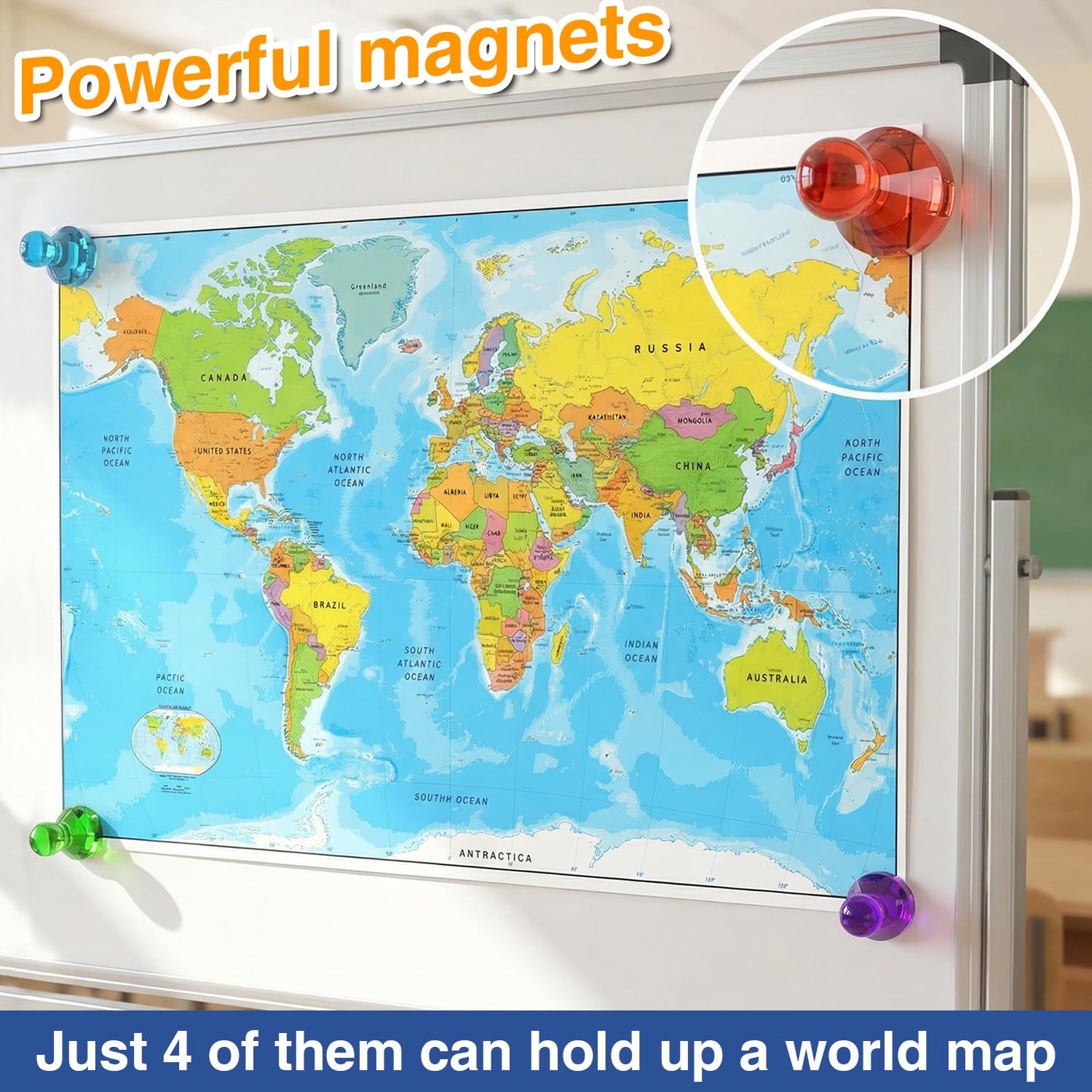 Kitchen home office magnets MAX Push Pin Magnets Tiergrade