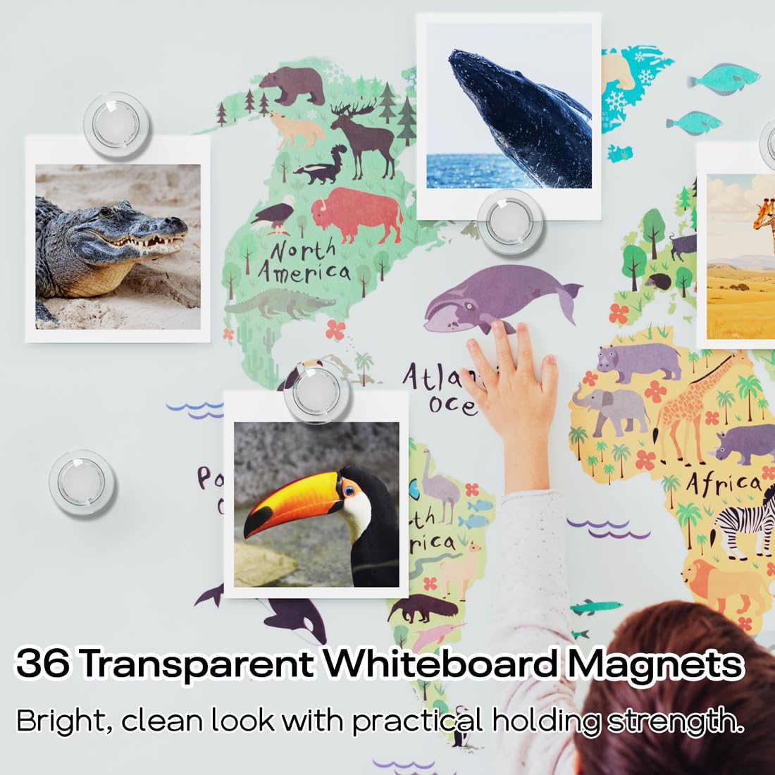 Refrigerator magnets for home and classroom