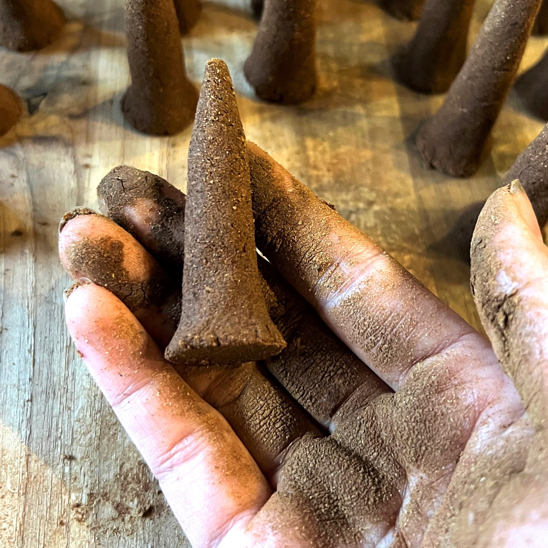 Machilus thunbergii Tabunoki Makko powder derived from tree