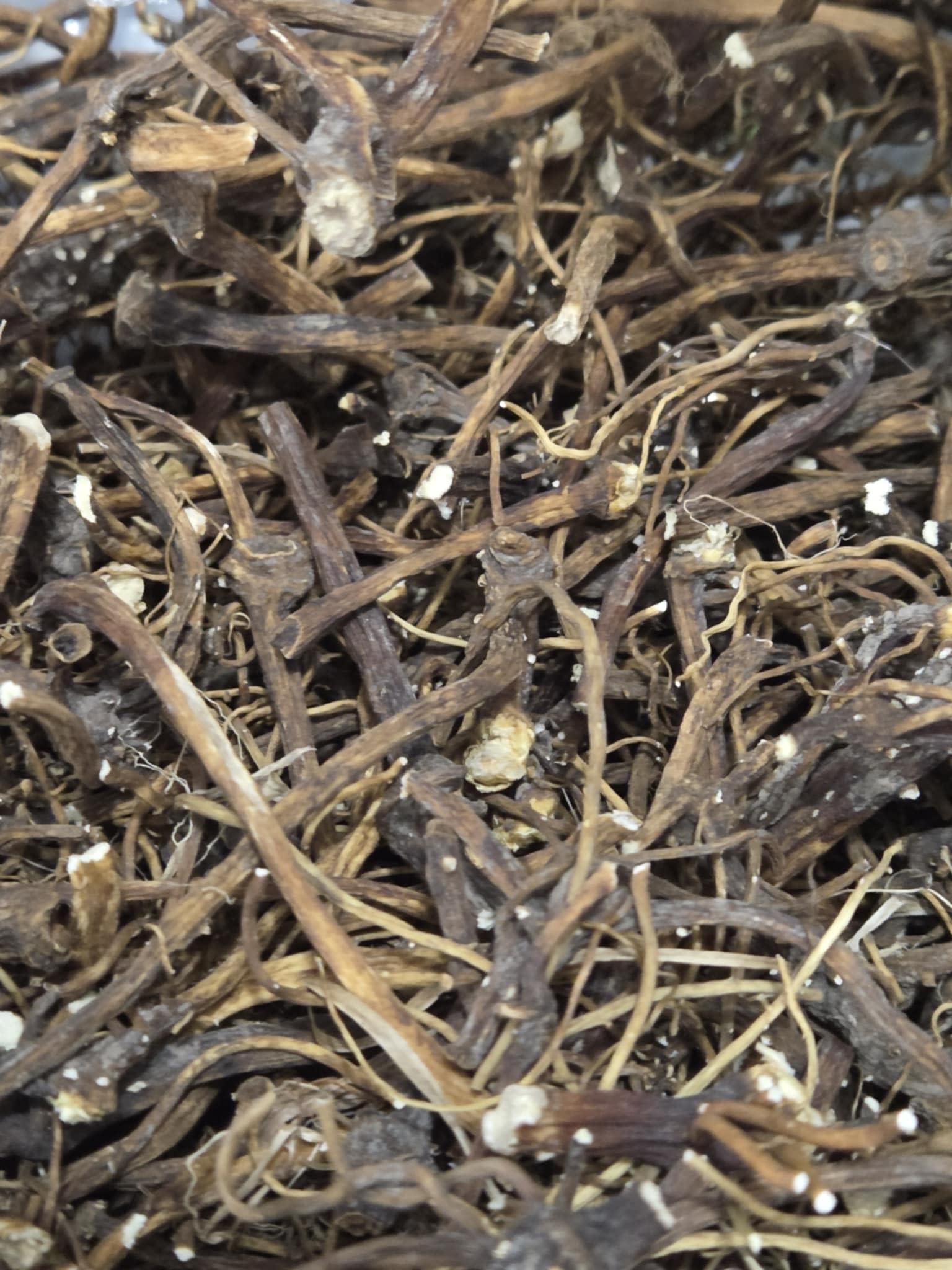 Mandrake Root packaged for witchcraft spellwork and practice