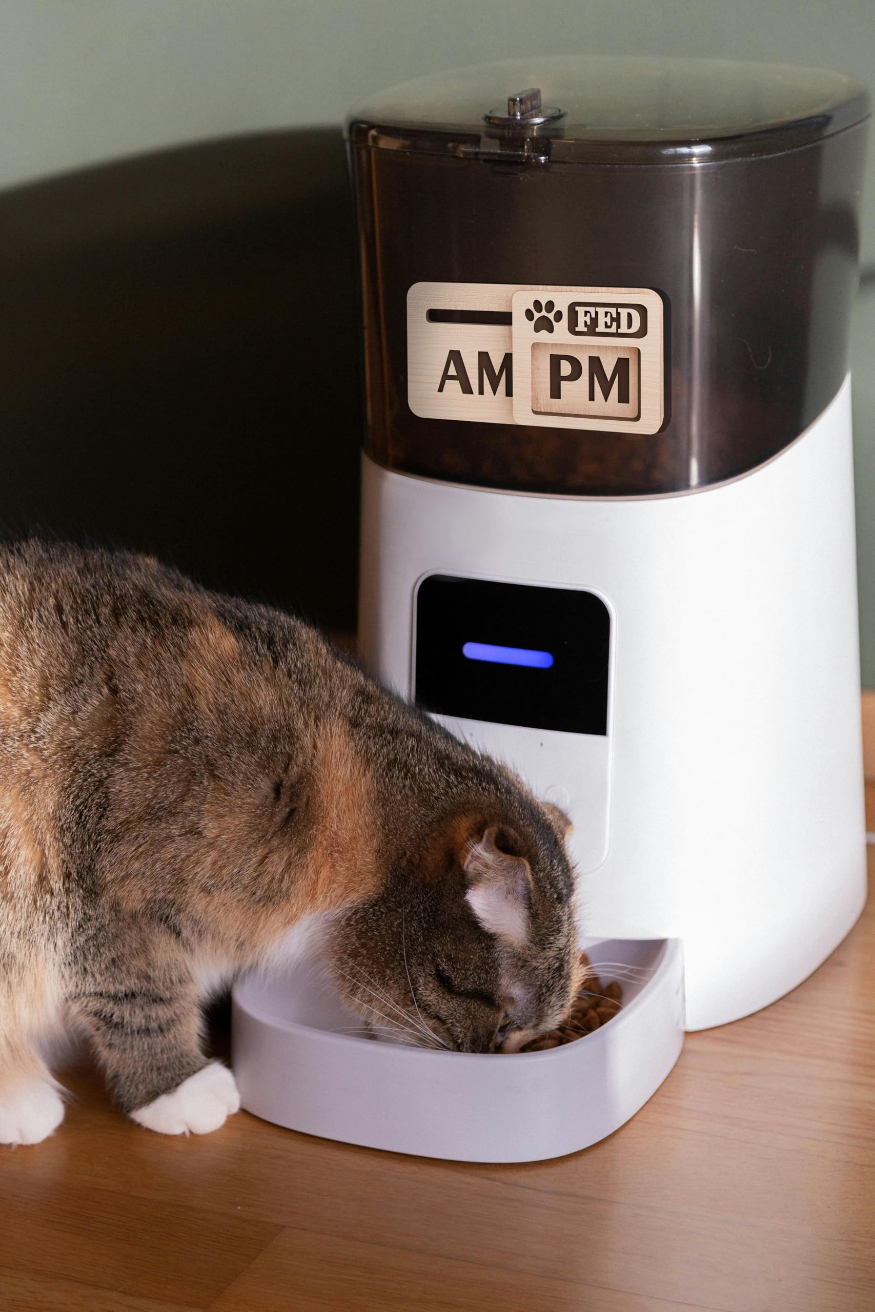magnet-featured-ezslide-tracker dog-cat model