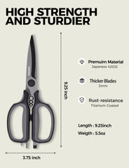 420J2 stainless steel blades with titanium coating