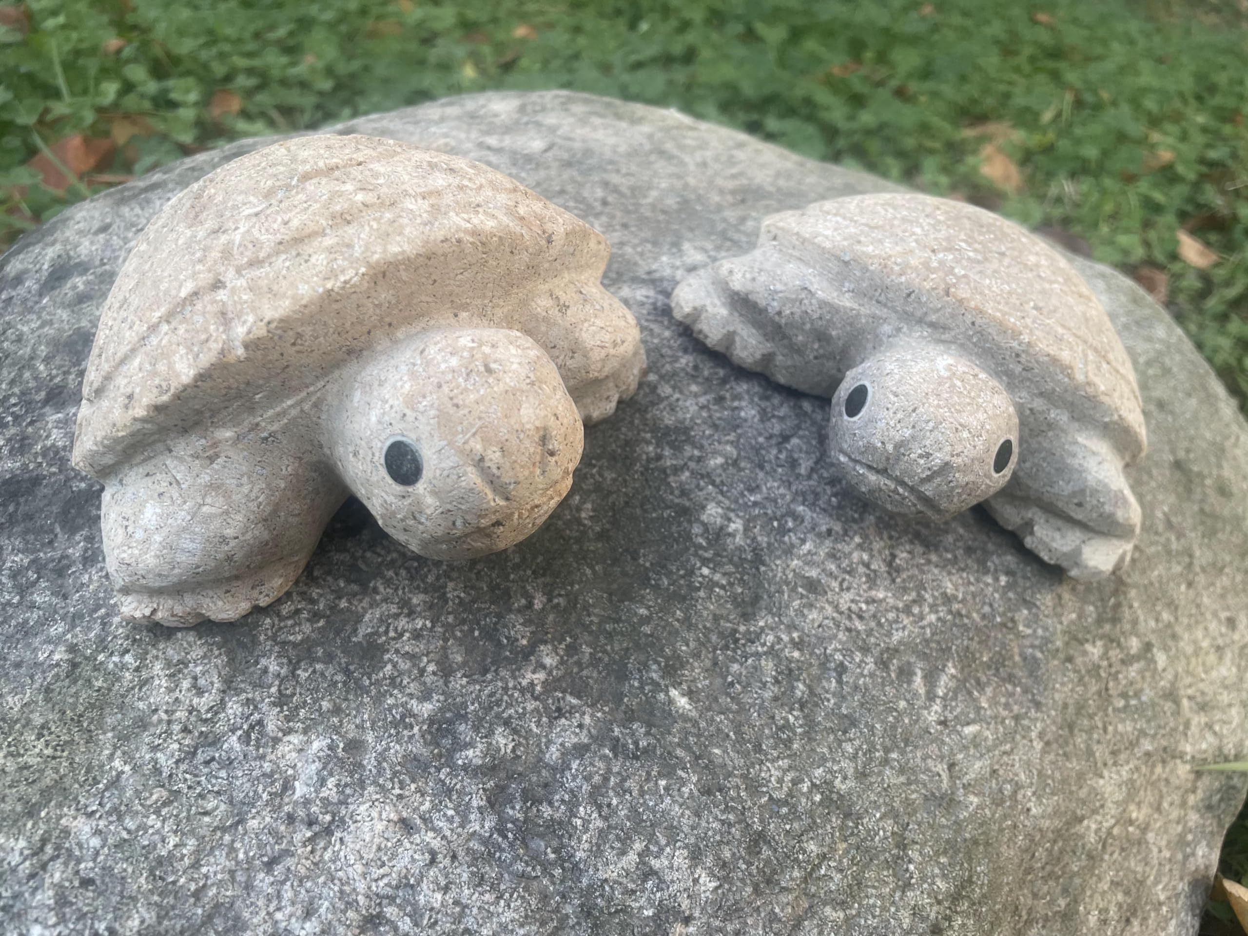 One-of-a-kind granite turtle artwork with unique coloring