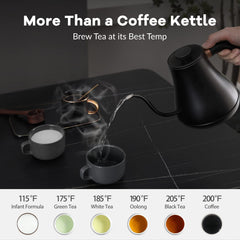 BPA free and 304 stainless steel body of Mecity kettle