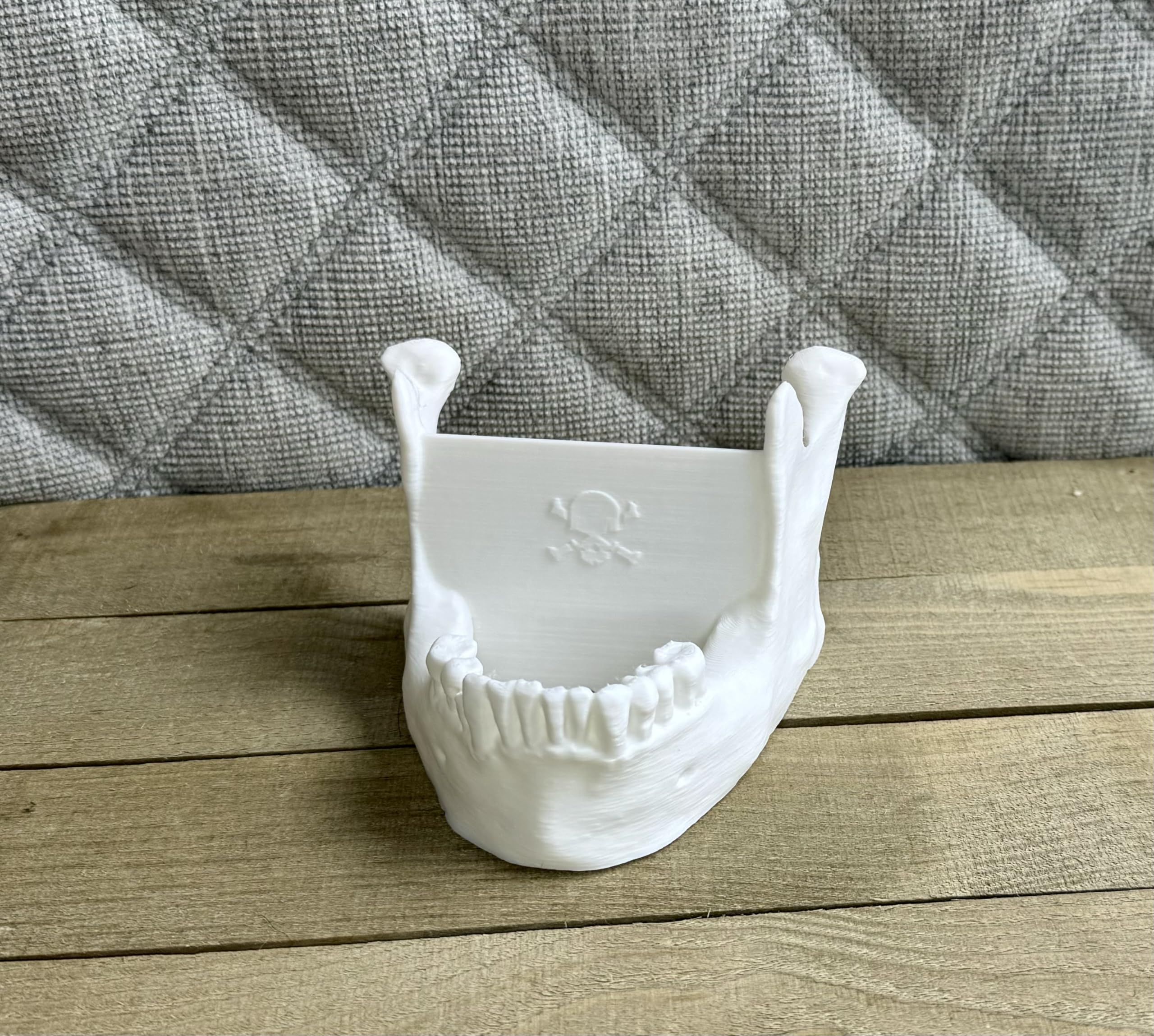 Durable skull jaw mandible card holder desk item