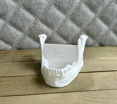 Durable skull jaw mandible card holder desk item