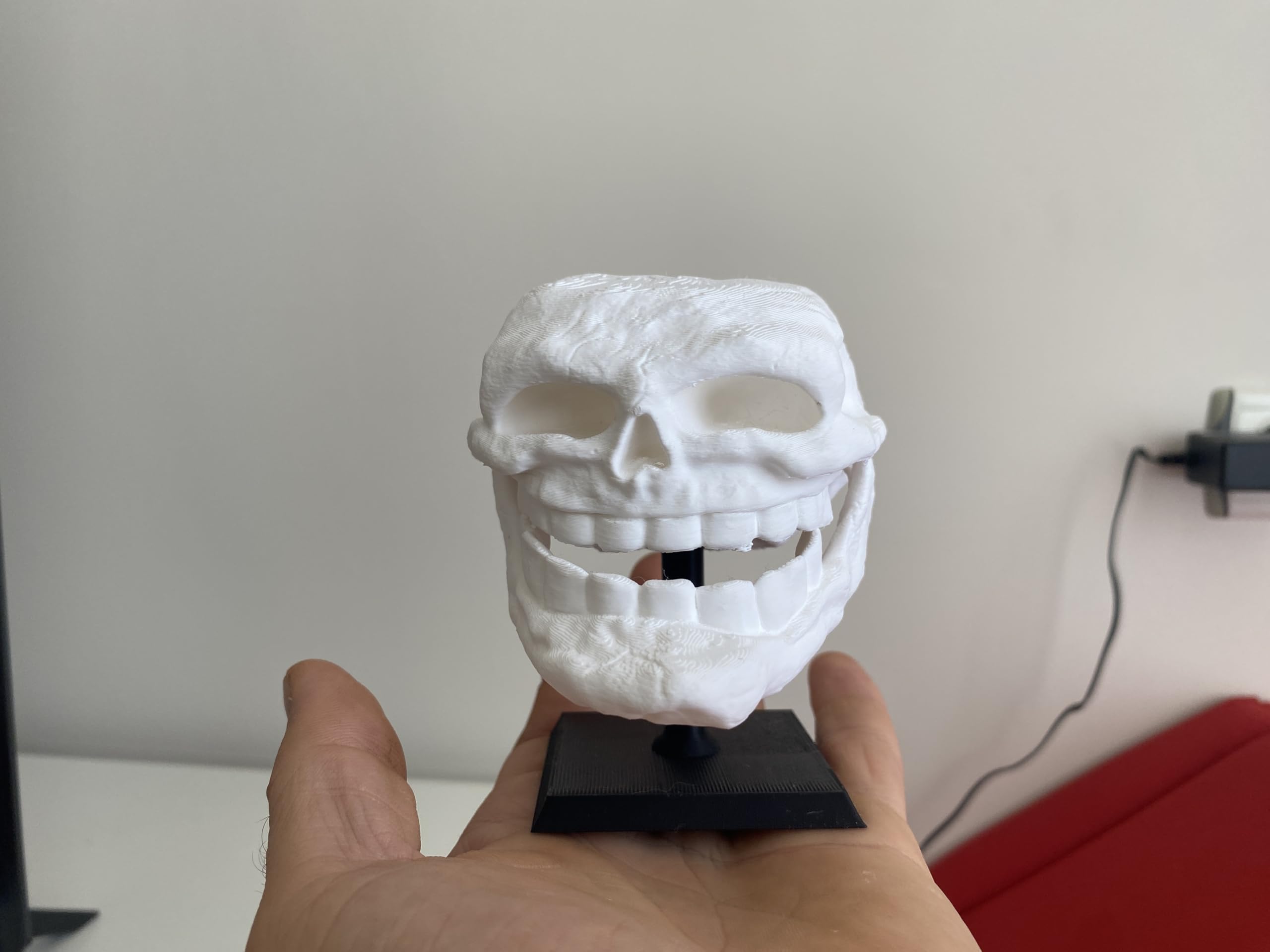 Meme inspired skull decor for desk