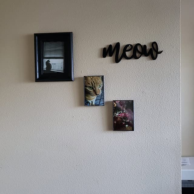 Customizable Meow Script Wording Meow Sign size and color