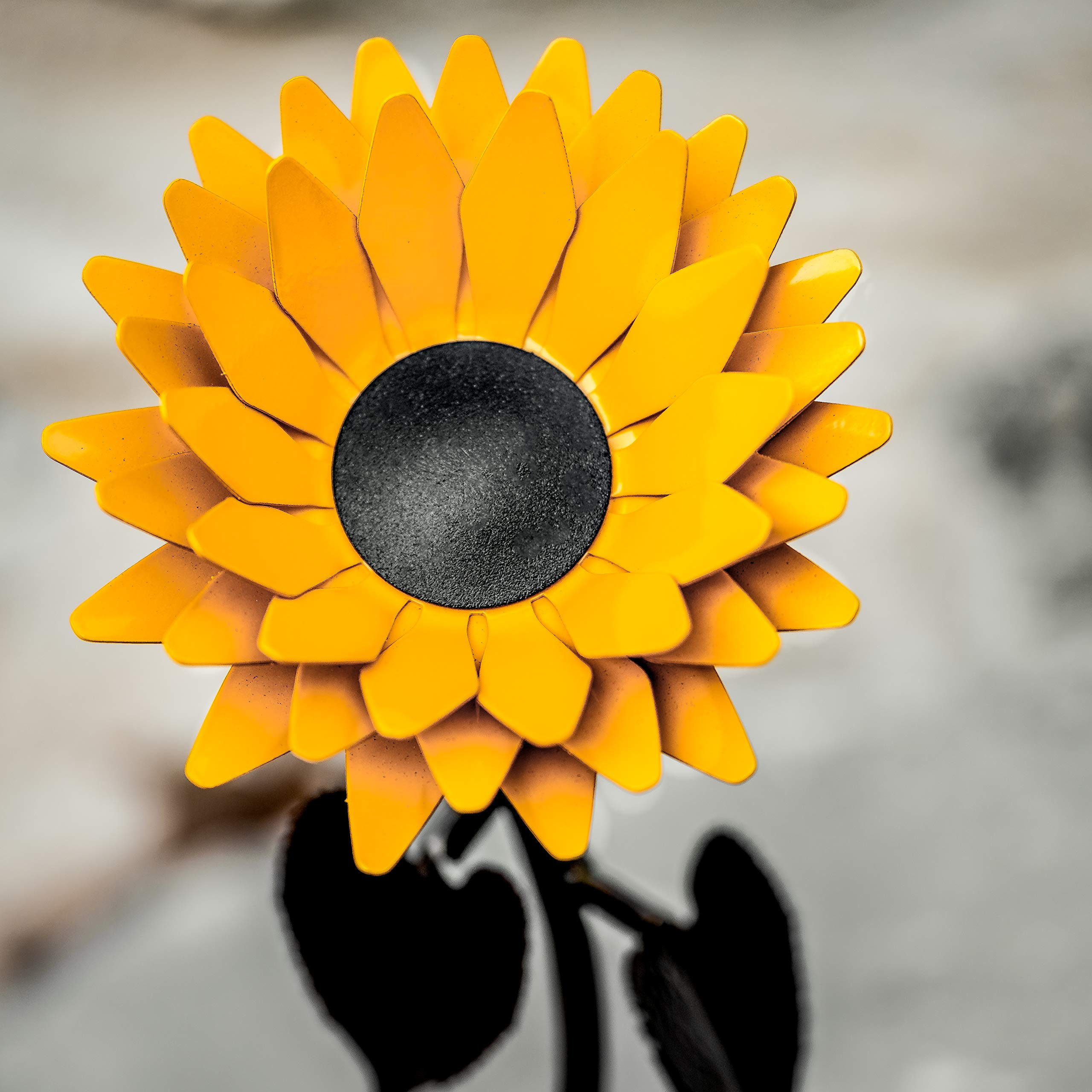Metal Sunflower iron 6th handcrafted in authentic Quebec blacksmith shop