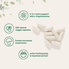 L-Ergothioneine enriched Lions Mane capsules 240 count