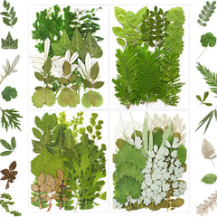 MIKIYA 84Pcs pressed dried leaves set for resin molds