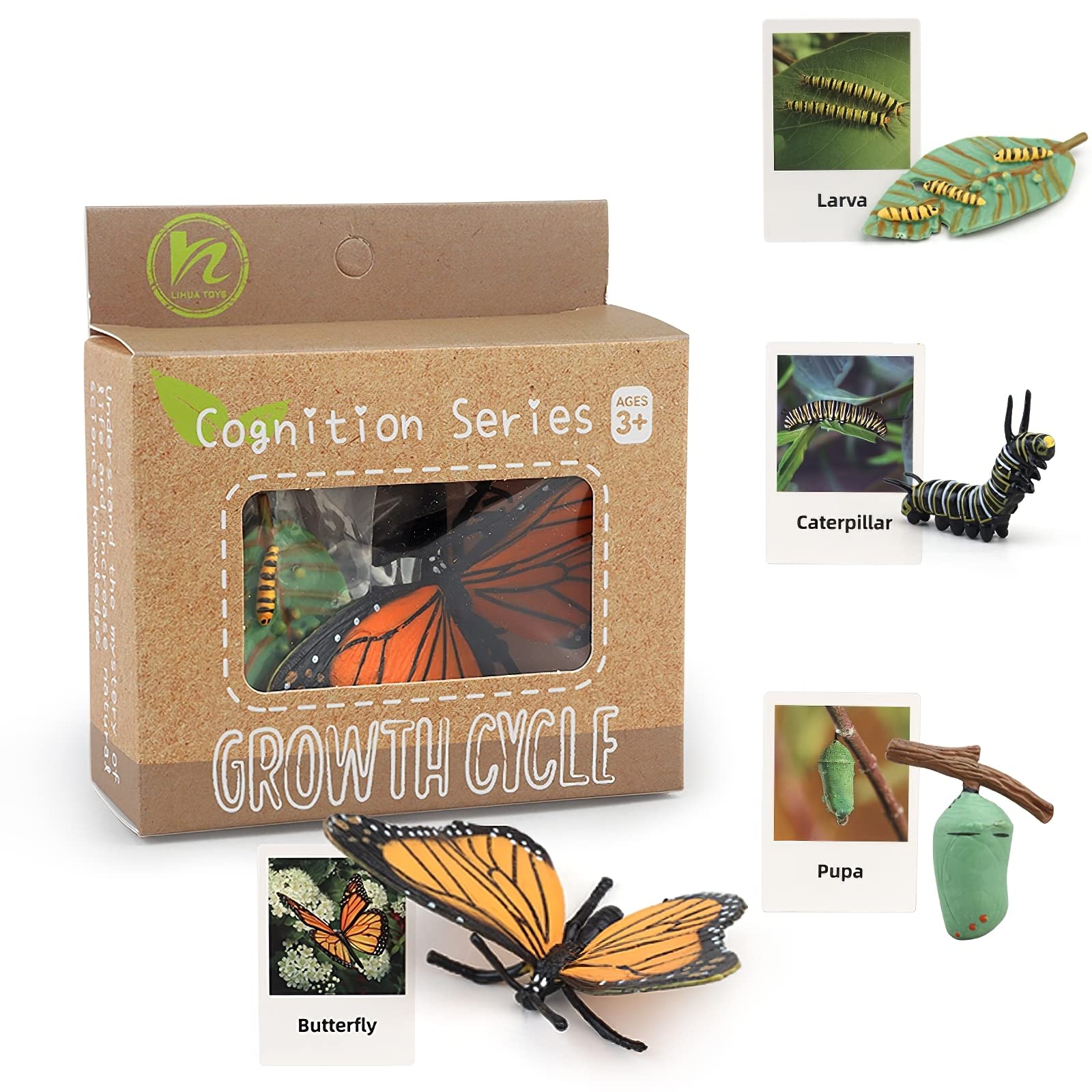 Caterpillar to butterfly toy for early learning