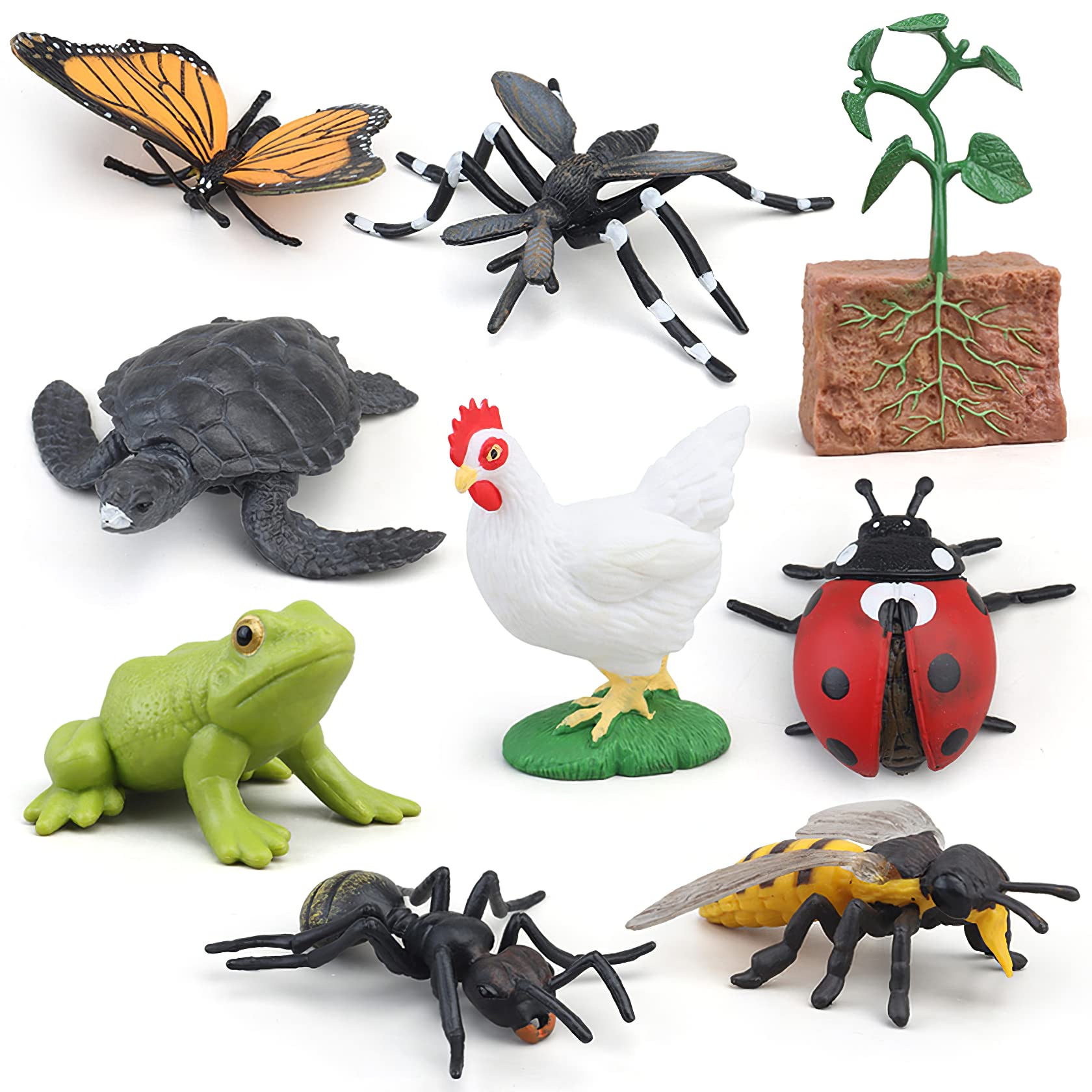 Preschool learning kit with life cycle figures