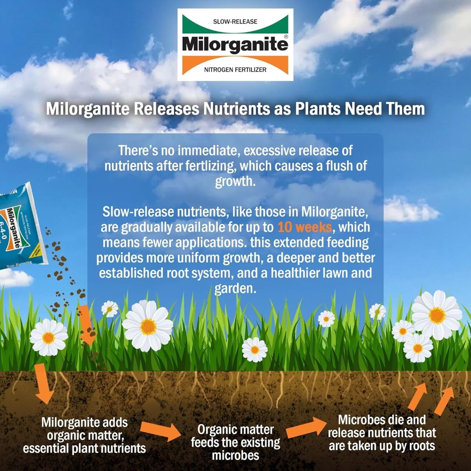 Milorganite brochure feeding and spreader tips