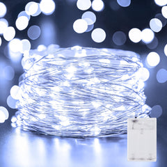 Minetom 33FT 100LED fairy lights on silver wire for decor