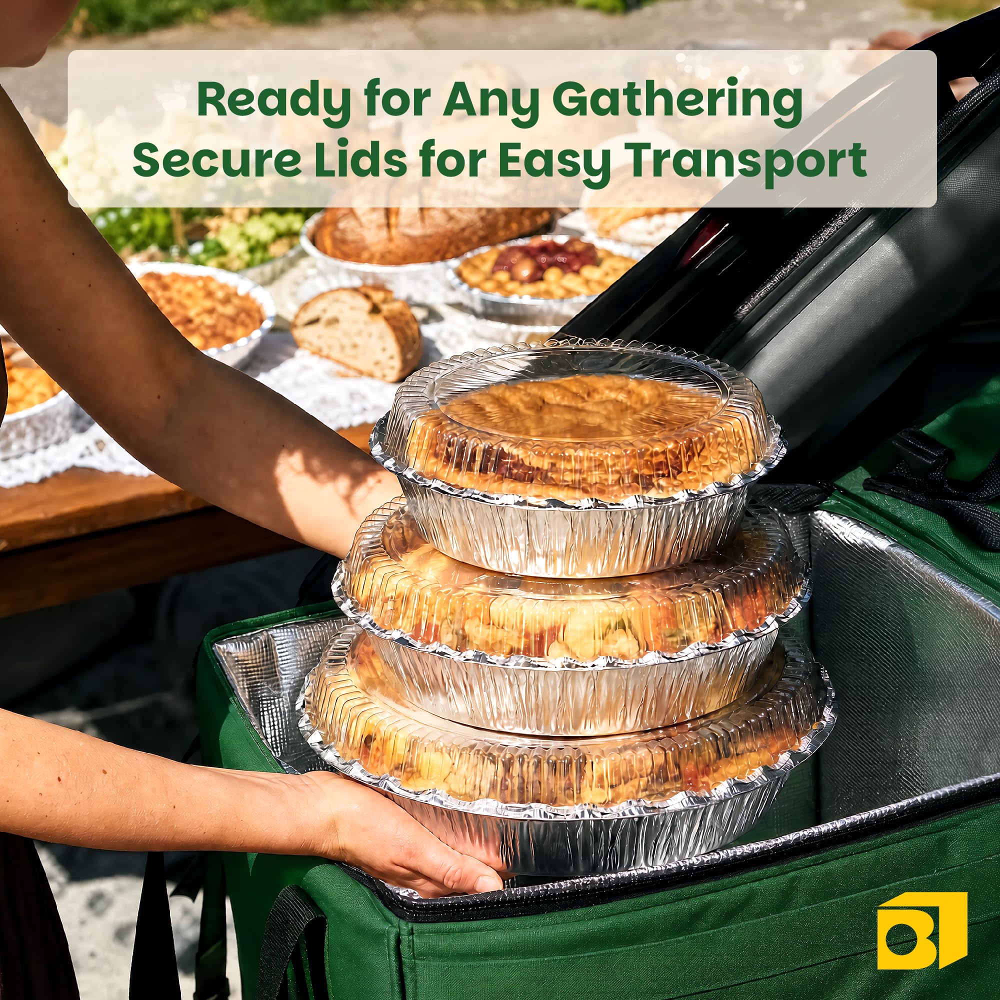 Assorted sizes aluminum pans with lids for baking and serving