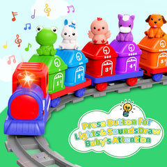 Montessori Learning Matching & Sorting Toys overview