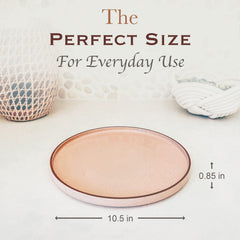 10.5 inch Mora high edge plate for dining