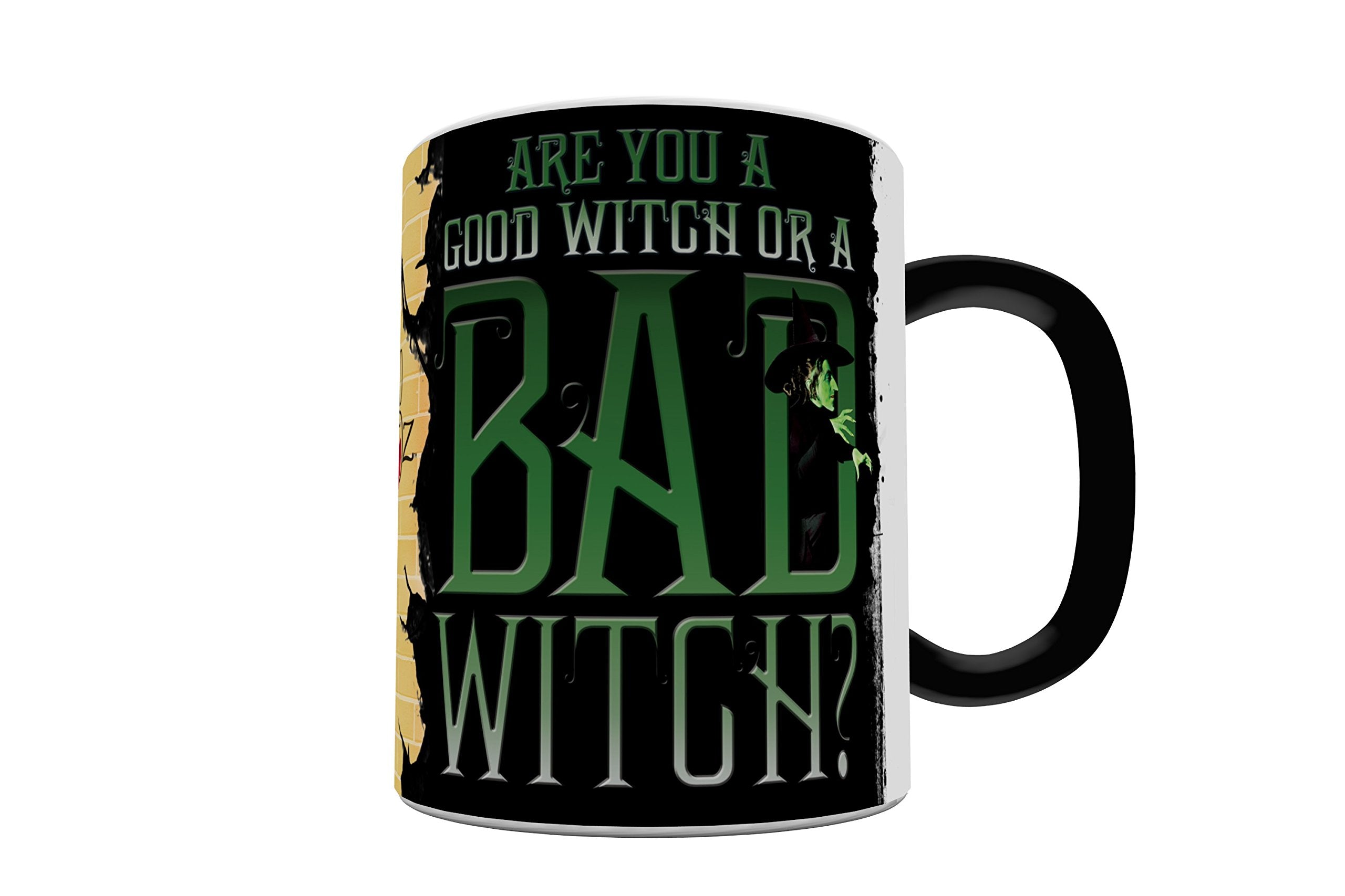 11 oz Morphing Mugs ceramic mug for coffee or tea