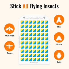 Replacement glue cards for Mosalogic fly trap 10pack
