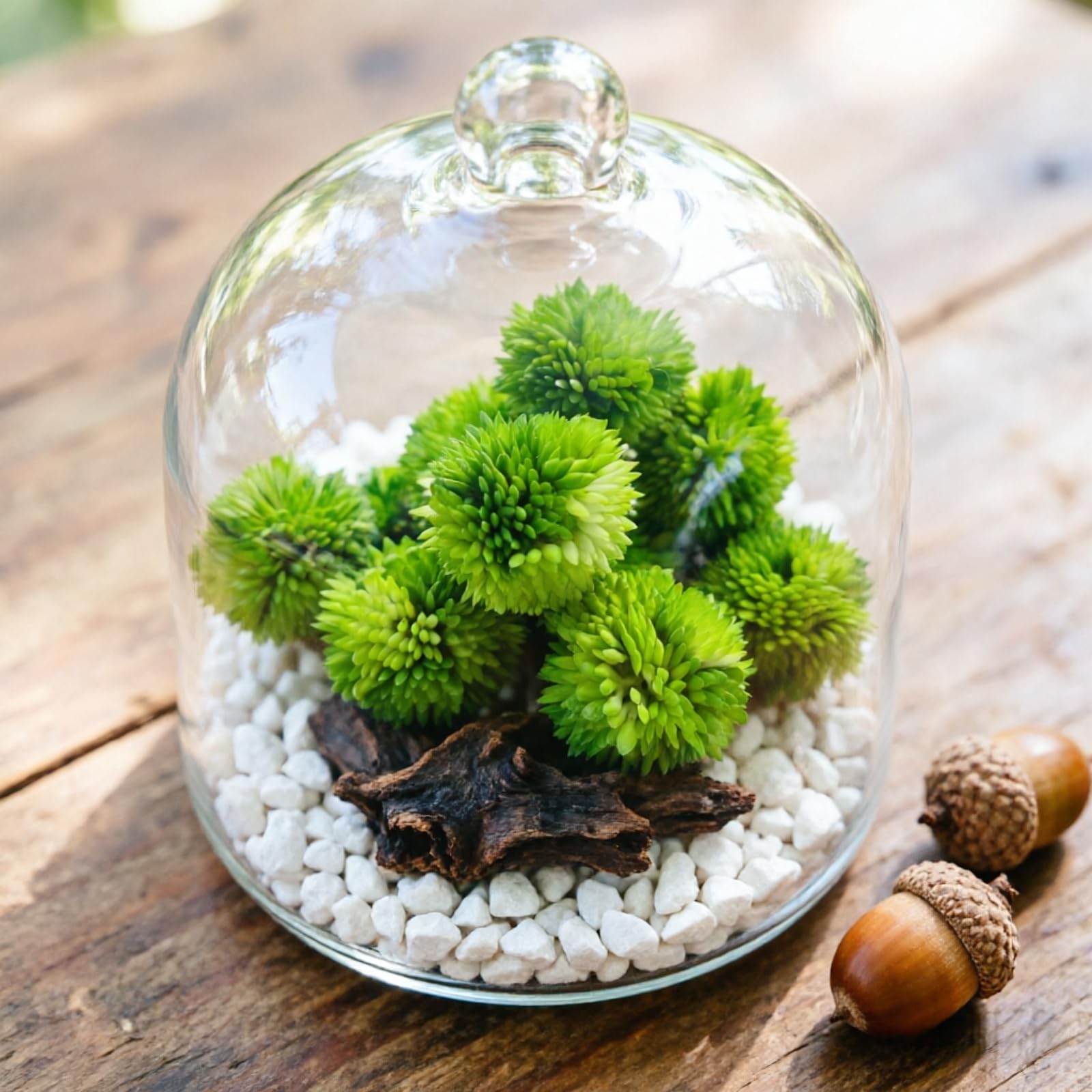 non-toxic family-safe decorative moss balls for home decor