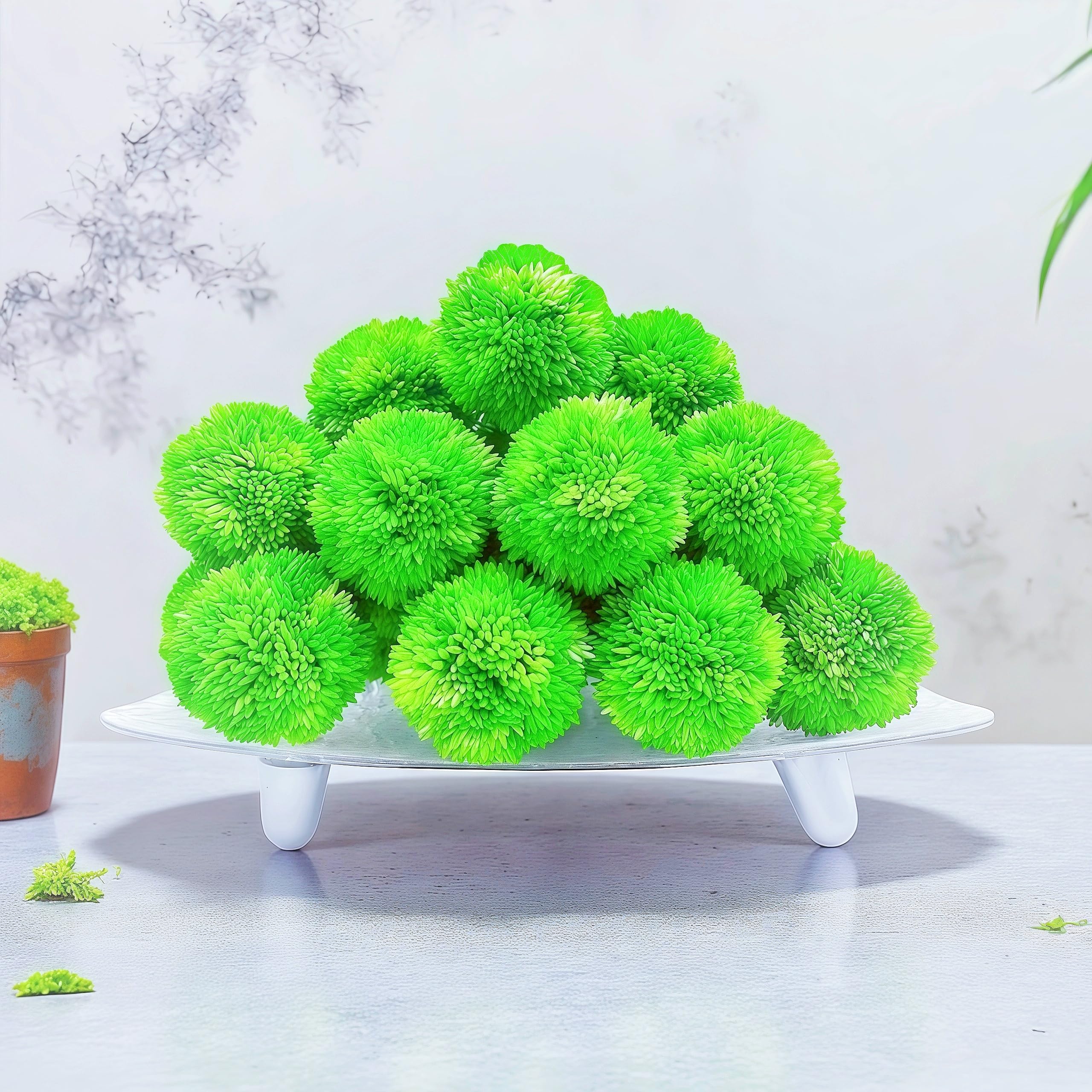 Pet-safe non-toxic moss balls for home decor