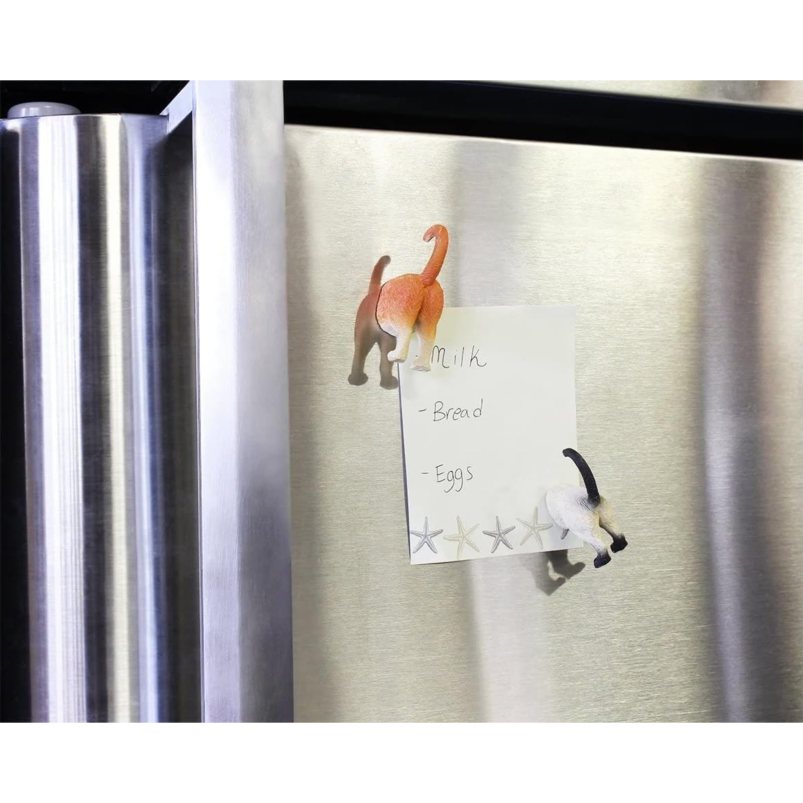 Pack of 6 magnets holds notes photos on fridge