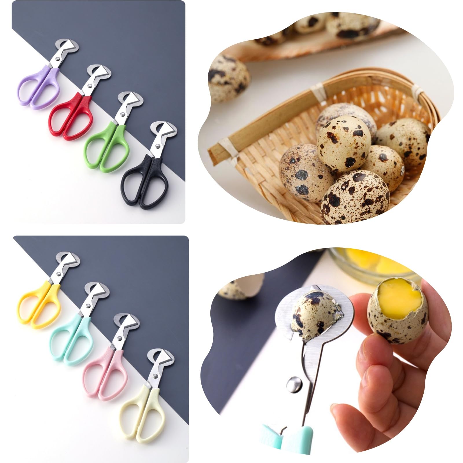 Compact 5.5 inch quail egg cutter for easy storage