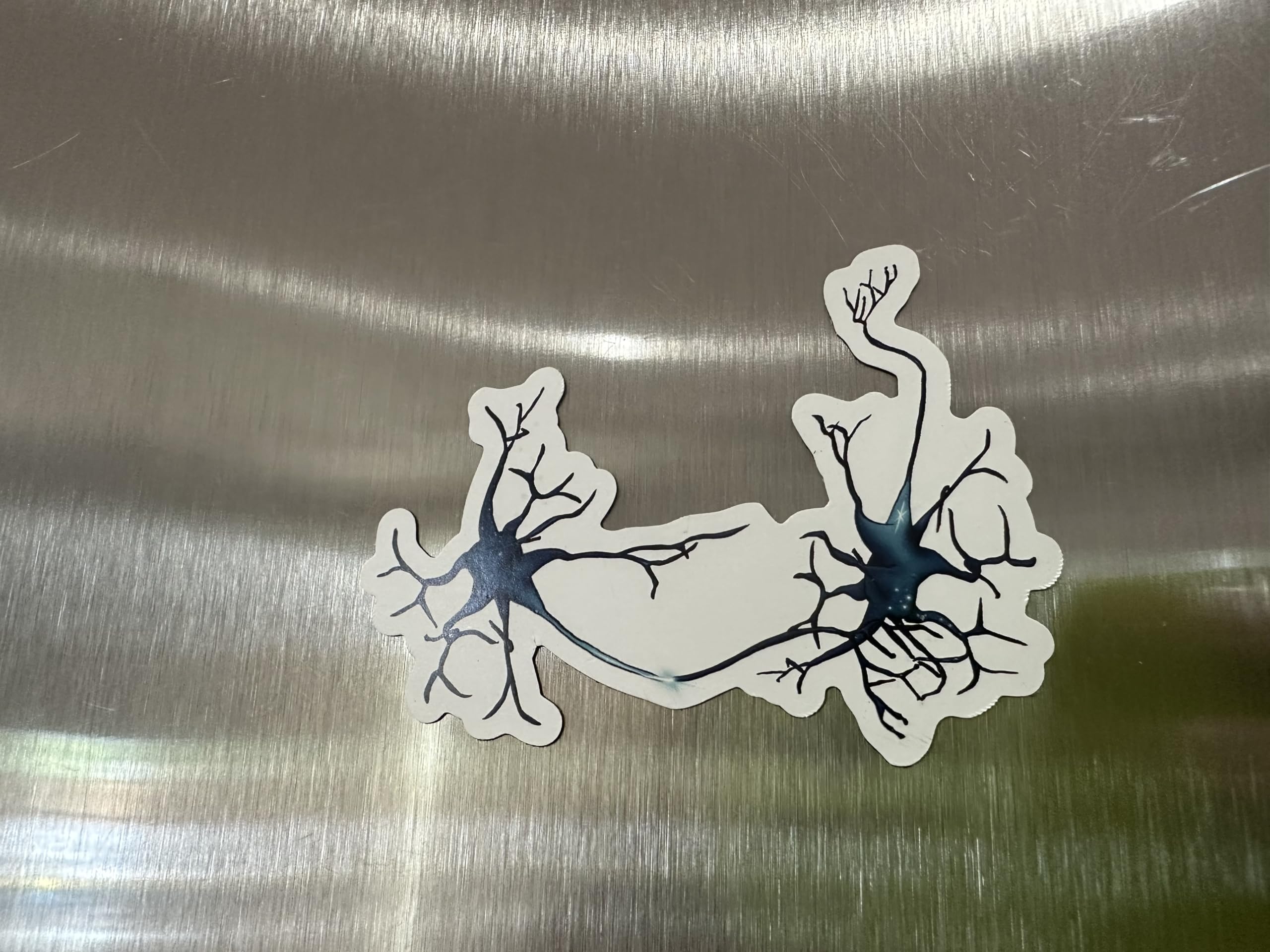 Multipolar neurons with branching synapses artwork