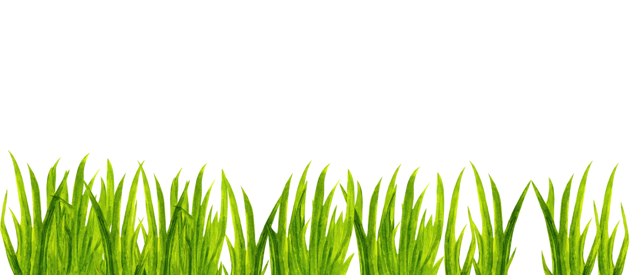 Murwall Kids Wall Decal Watercolor Grass Wall Sticker set with 10 grass pieces totaling 200cm