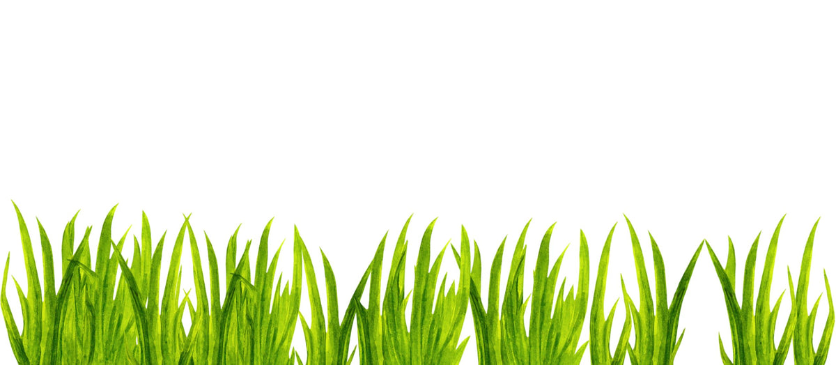 Murwall Kids Wall Decal Watercolor Grass Wall Sticker set with 10 grass pieces totaling 200cm