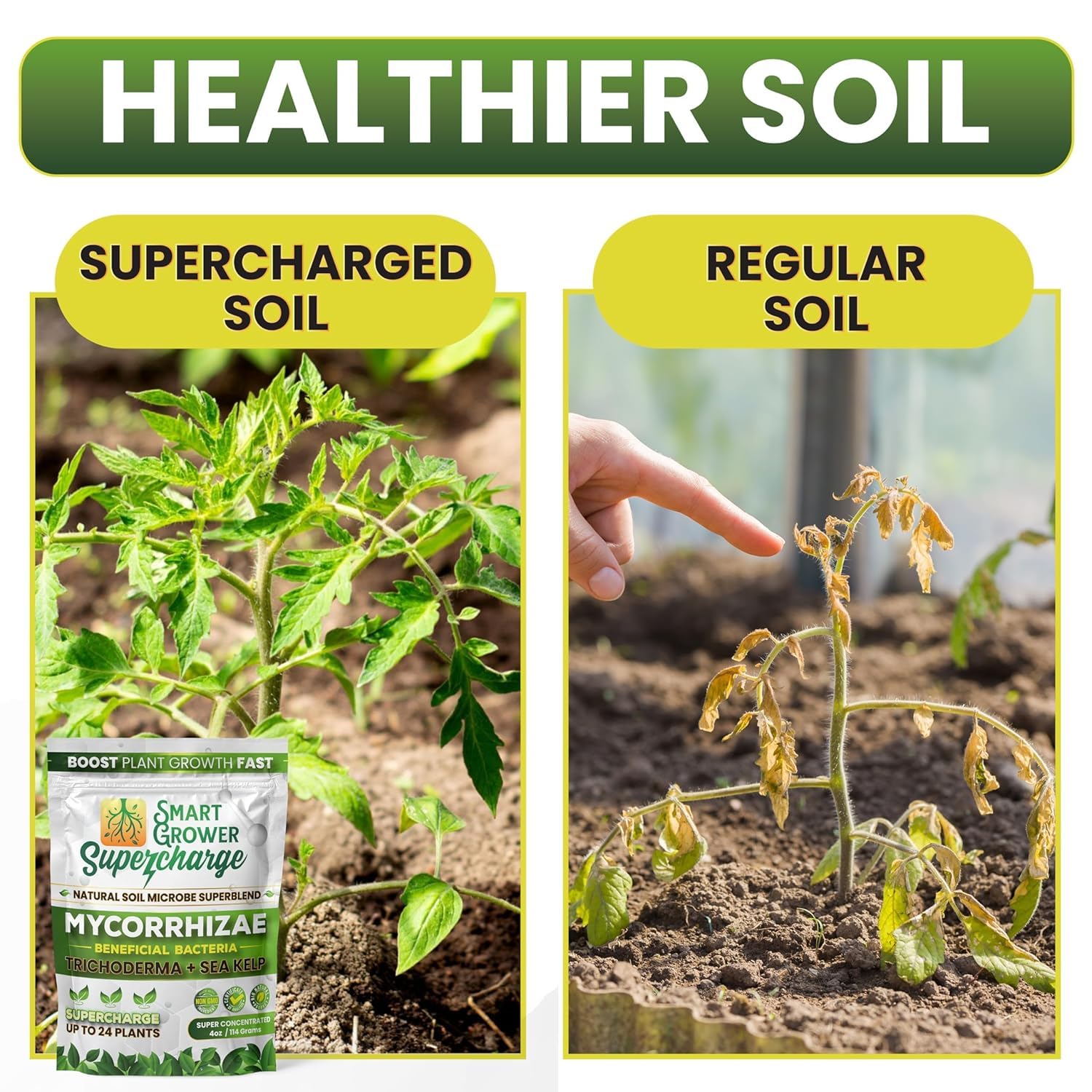 mycorrhizal fungi trichoderma bacillus blend for plants