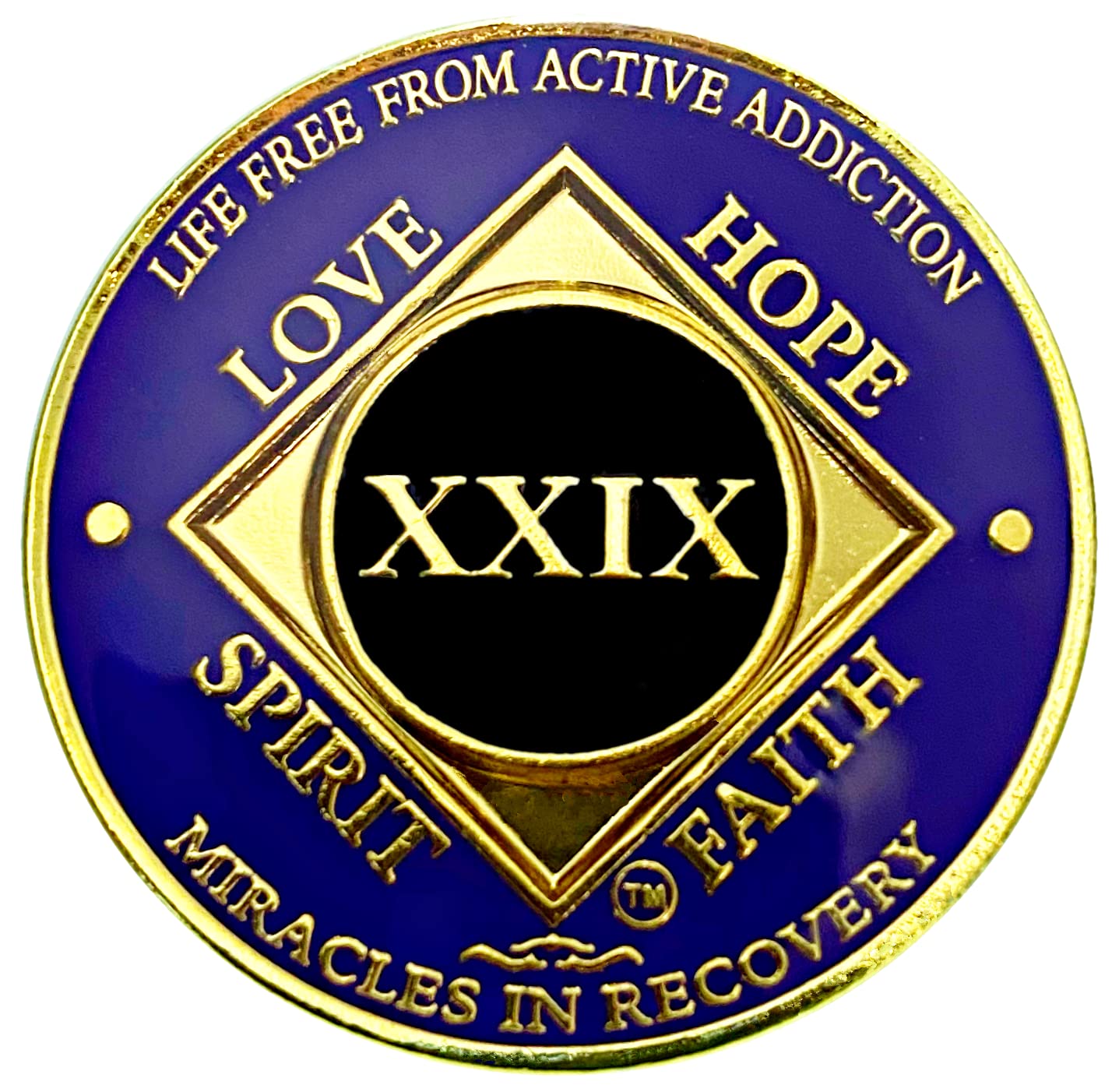NA 29 Year Golden Color Plated Medallion recovery coin image