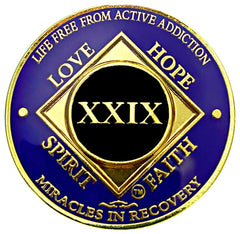 NA 29 Year Golden Color Plated Medallion recovery coin image