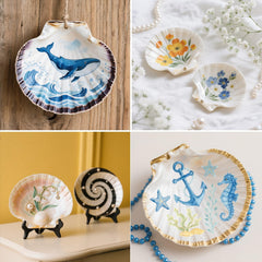 sea shells for crafts and painting