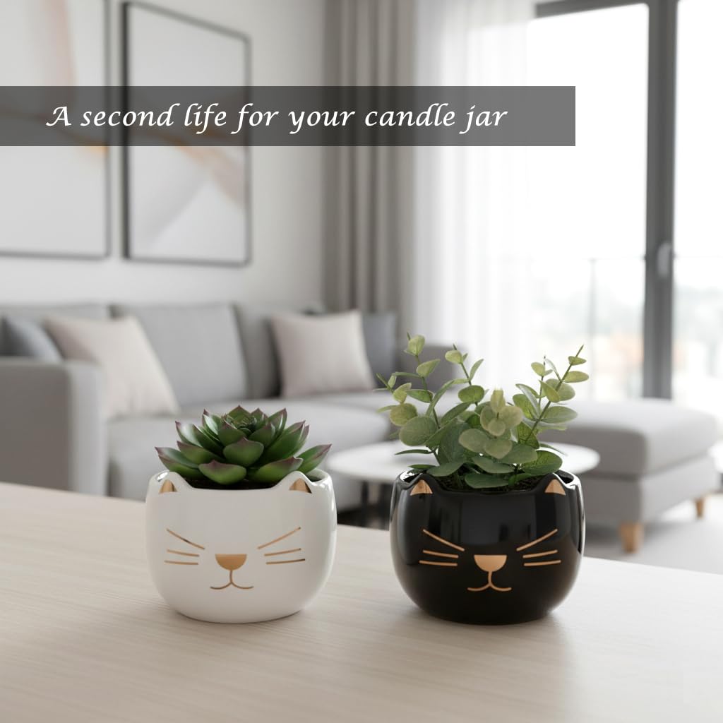 cat candle decor on shelf